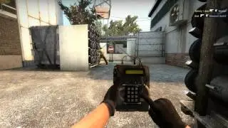 VAC Ban for this