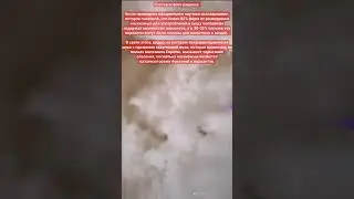 Состав нового рациона