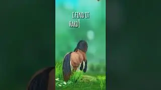 8 Years Of Star Stable YouTube || 