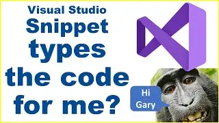 Visual Studio - code snippet