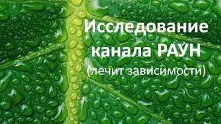 Исследование канала Раун доктором Рамияром П.  Каранджия  и Ириной Клинтух, Мумбаи (Индия)