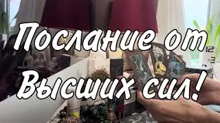 Послание для вас от Высших Сил! Таро расклад