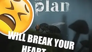 THE ENDING WILL BREAK YOOOU | The Plan