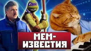 Усы Грудинина, монолог из изолятора, требуется ниндзя мемологии