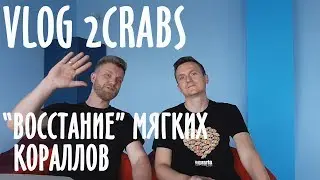 Vlog 2CRABS. 