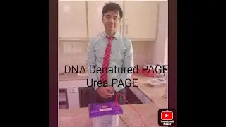 DNA Denatured PAGE/UREA PAGE