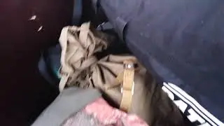 Ходить нельзя ездить можно!