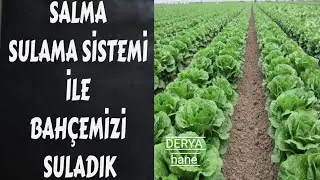 Salma sulama yaptığımız bahçemizden ...