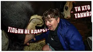 ЛЕБІГА ДОЇТЬ КОРОВУ В СЕЛІ / ЛЕБІГА ПЕРШИЙ РАЗ В ЖИТТІ ДОЇТЬ КОРОВУ / ЛЕБІГА СТРІМ