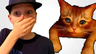 Рыжий кот упал в тьму Stray прохождение часть 1