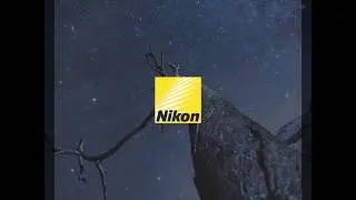 Nikon Expertives Podcast Teaser