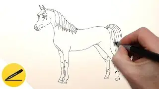 How to Draw a Horse step by step ✔