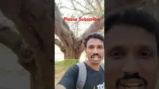 Tamil Tholan shorts- Tree Pondicherry