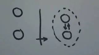 Клеточка и отношения  Начало, клеточка и нечто  Морфология и форма  2009