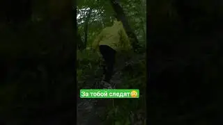 Спойлер: на съемках 2го сезона мы встретили настоящего медведя🙀 Скоро в выпуске #чектур #россия