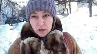 Что такое внешнее намерение. Как применить внешнее намерение для исполнения желания.