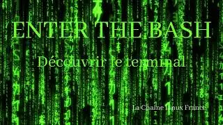Enter the bash : Découverte du terminal