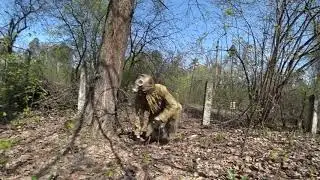 Контроллёр ведёт стаю снорков