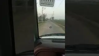 #shorts
