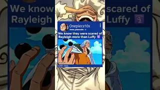 luffy came back with Rayleigh 🛐 