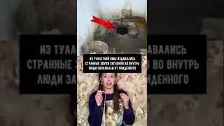 Из туалетной ямы издавались странные звуки,заглянув во внутрь люди заплакали