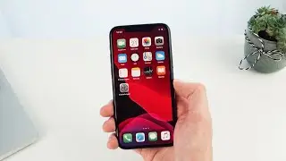 Apple iPhone 11 (Pro, Max) - The best tips and tricks (German)
