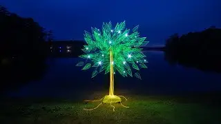 Illuminating the Night at Mistletoe State Park, Light Painting Vlog Episode 59