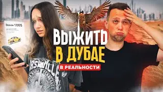 ПЕРЕЕХАЛИ В ДУБАЙ / ЦЕНЫ НА ЖИЗНЬ В ОАЭ / НОЧНОЙ СТАМБУЛ / УЕХАЛИ ИЗ СЕРБИИ / КАК ВЫЖИТЬ В ДУБАЕ