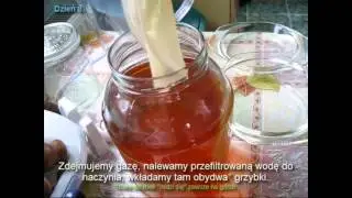 Kombucha - jak zrobić?