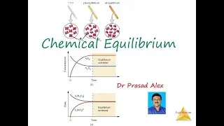 Chemical Equilibrium- Concepts for UG students