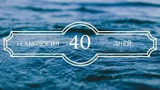 Успех программы 40 дней