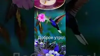 #Svetlana Видео открытки