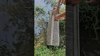 Fishing traps|Real fishing lover|#fishing