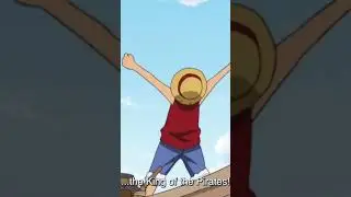 5 may. Luffy's birthday