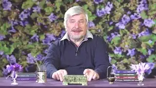 С В  Савельев    Эволюционный карантин