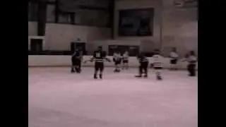 C.A.W. Maple Leafs vs. Habs, Oshawa Ice Sports