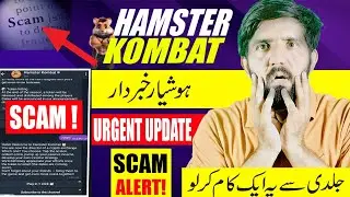 Urgent Update ! Hamster Kombat SCAM ALERT ! Please Watch This Vedio
