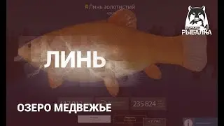 RF4! РР4! Русская Рыбалка 4! Линь Золотой и Редкая Плотва!