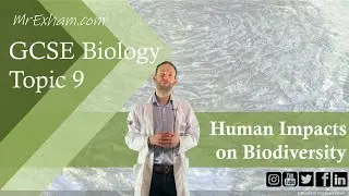 Human Impacts on Biodiversity (Fish Farming/Invasive Species/Eutrophication) - GCSE Biology (9-1)9.9