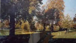 Eric the gardener by The Divine Comedy