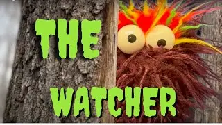 The Watcher