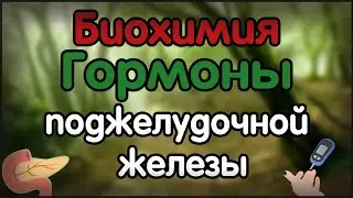 Биохимия. Лекция 27. Гормоны поджелудочной железы. Сахарный диабет