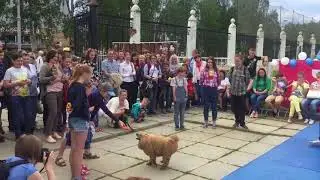 Happy Dogs Day в Догги 24 июня 2018