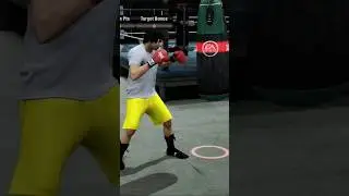 Bruce Lee Practicing on FNC #fightnightchampion