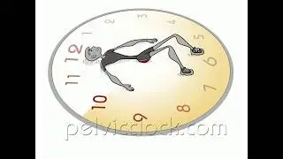 Pelvic Clock® Stretches for Hips & Lower Back - Basic Routine