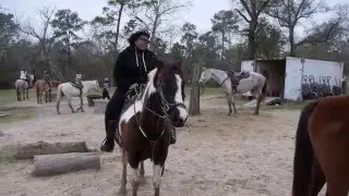Cara's HorseGIRLship