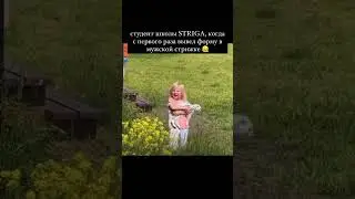 случай в 