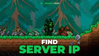 How To Find Terraria Server IP