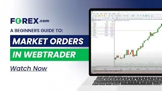 A Beginner's Guide to Market Orders in WebTrader | FOREX.com