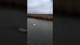 VID 20220227 114234